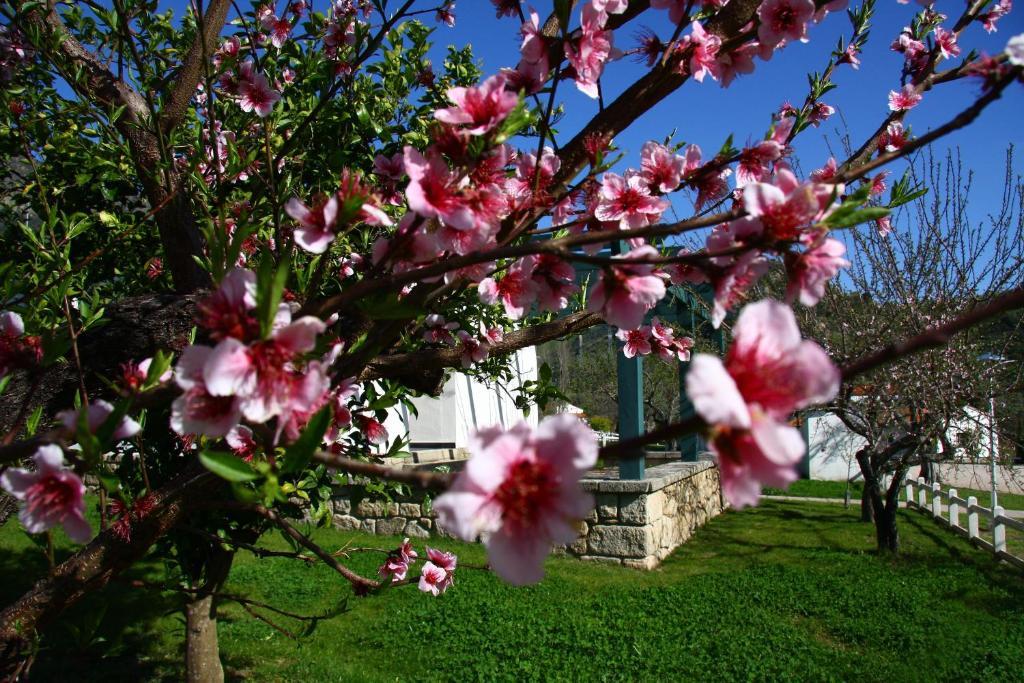 Hospedería Rural Aldeaduero Casa de hóspedes Saucelle Exterior foto